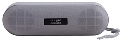 Magic Acoustic SK1019GY