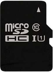 Perfeo PF4GMCSH10 microSDHC 4GB