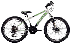 Ardis Racer MTB 24