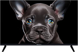 Телевизор Topdevice 32 OS SALUTE TV (черный)