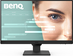 Монитор BenQ GW2490