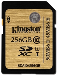 Kingston SDA10/256GB