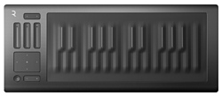 ROLI Seaboard RISE 25