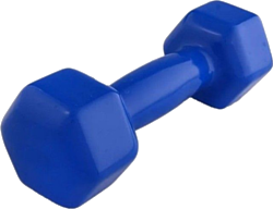 Atlas Sport Виниловая 2 кг (синий)