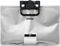 Epson C13T01D100