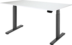 ErgoSmart Ergo Desk Pro 1380x800x18 мм (альпийский белый/черный)