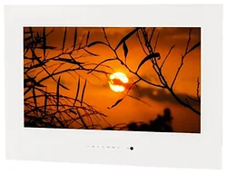 Телевизор AVEL AVS245SM