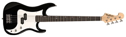 Washburn SB1PB