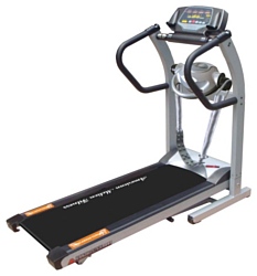 American Motion Fitness 8215