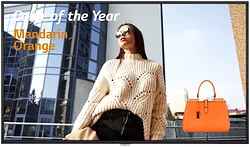 Информационная панель LG 65UH5F Информационная панель LG 65UH5F