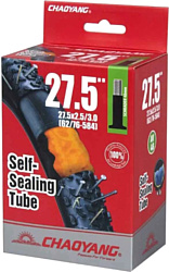 Камера Chaoyang 27.5x2.50/3.00 AV-48MM Y133703F