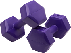 BaseFit DB-305 2x2 кг (фиолетовый)