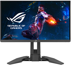 ASUS ROG Swift Pro PG248QP