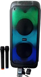 Портативная акустика Digivolt DG-1095A