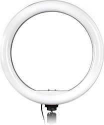 Фотовспышка SmartBuy SBL-TTL-10