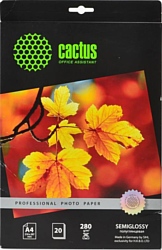 CACTUS полуглянцевая A4 280 г/кв.м. 20 листов (CS-SGA428020)