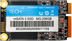 Tech 256GB MSATA3.0