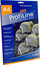 ProfiLine PL-GP-250-A4-25