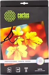 CACTUS Шелковисто-матовая A4 260 г/кв.м. 20 листов (CS-SMA426020)