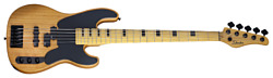 Schecter Model-T Session-5