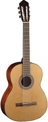 Акустическая гитара Cort AC200 OP Акустическая гитара Cort AC200 OP