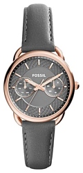 Наручные часы Fossil ES3913