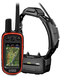 Garmin Alpha 100 с ошейником TT 15