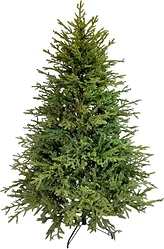 Новогодняя елка GreenTerra Вилтони 1.5 м Новогодняя елка GreenTerra Вилтони 1.5 м