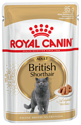 Royal Canin British Shorthair Adult (в соусе) (0.1 кг) 12 шт.