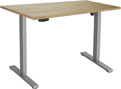 Стол с регулировкой высоты ErgoSmart Electric Desk Slim 1200х650х25 мм (дуб натуральный/серый) Стол с регулировкой высоты ErgoSmart Electric Desk Slim 1200х650х25 мм (дуб натуральный/серый)