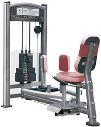 AeroFIT IT9008