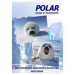 Polar A4K08100 универсальная, 8 делений, A4, 100 г/м2, 100 л