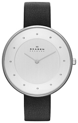 Skagen SKW2232