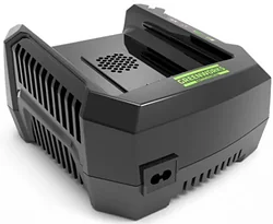 Зарядное устройство Greenworks G82C
