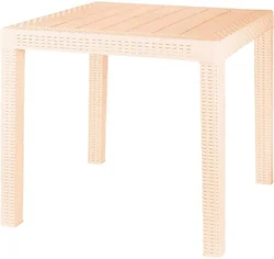 Plast Team Rattan ING6183СЛВ