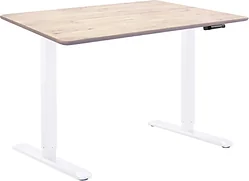 Стол для работы стоя ErgoSmart Wooden Manual DESKFIT DF100 1300х750х27 мм (прямой край, дуб беленый/белый) Стол для работы стоя ErgoSmart Wooden Manual DESKFIT DF100 1300х750х27 мм (прямой край, дуб беленый/белый)