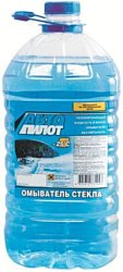 Авто Пилот winter 5л