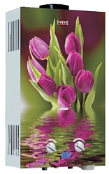 Power 1-10LT Tulip