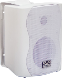 SVS Audiotechnik WS-20