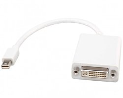 DVI - mini-DisplayPort