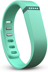 Fitbit Flex