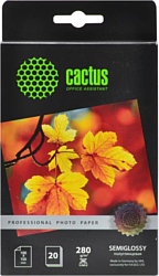 CACTUS Prof Полуглянцевая 10x15 280 г/м2 листов (CS-SGA628020)