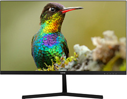 Монитор Sanc M2453J(N2453)