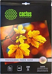 CACTUS Шелковисто-матовая A4 280 г/м2 20 листов (CS-SMA428020)