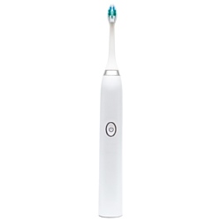 Dentalpik Pro 10