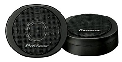 Pioneer TS-S20