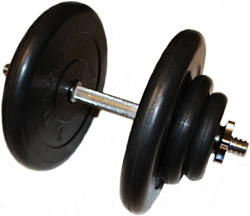 СпортСити 29,5 кг