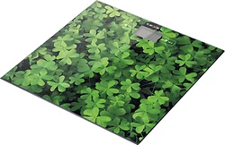 Напольные весы TeXet TSC-01f