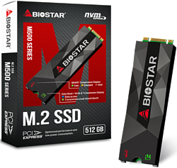 BIOSTAR M500 512GB M500-512GB