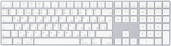 Apple Magic Keyboard с цифровой панелью MQ052RS/A